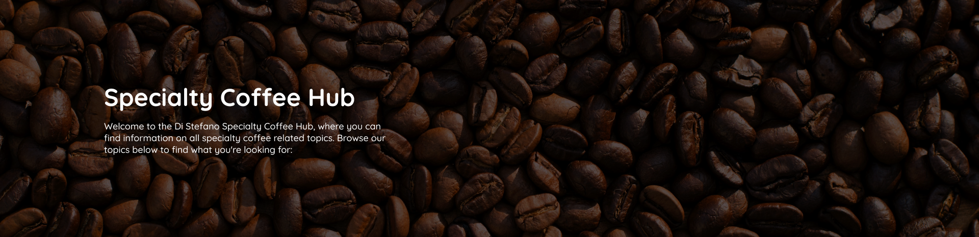 Desktop Banner Image