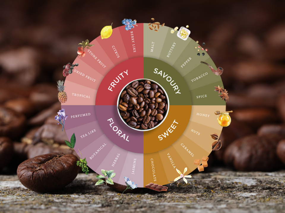 What Is Coffee Cupping? A Master Roaster’s Guide to Cupping Coffee&nbsp;