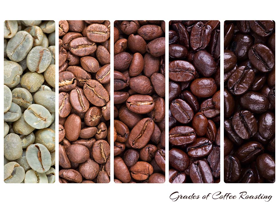 Medium roast vs dark roast