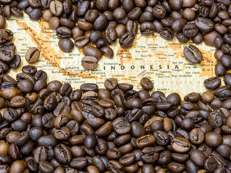 Indonesia v India: Comparing Coffee Regions