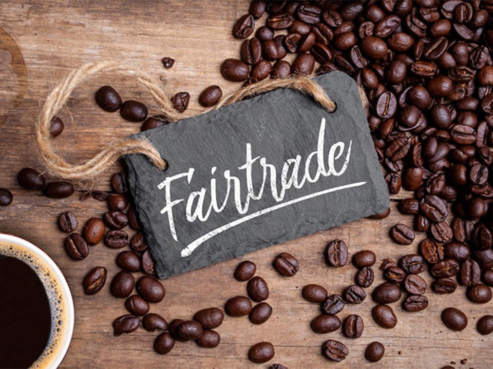 What is Fair Trade Coffee? Facts & Definition