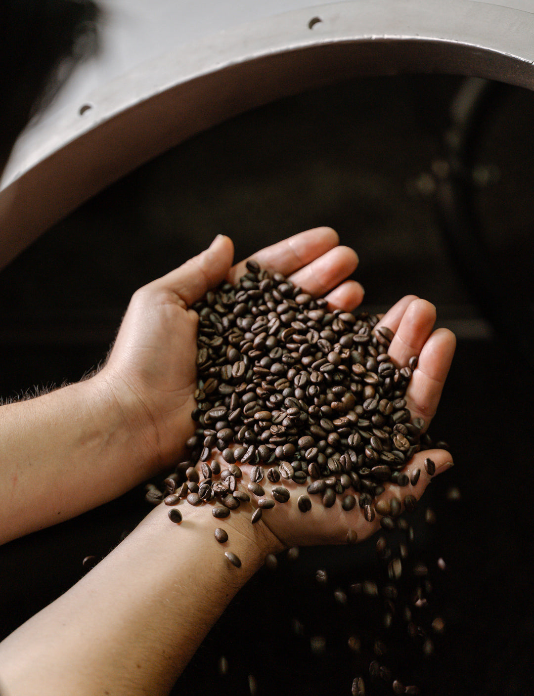 Di Stefano 109 Specialty Coffee Beans 1kg