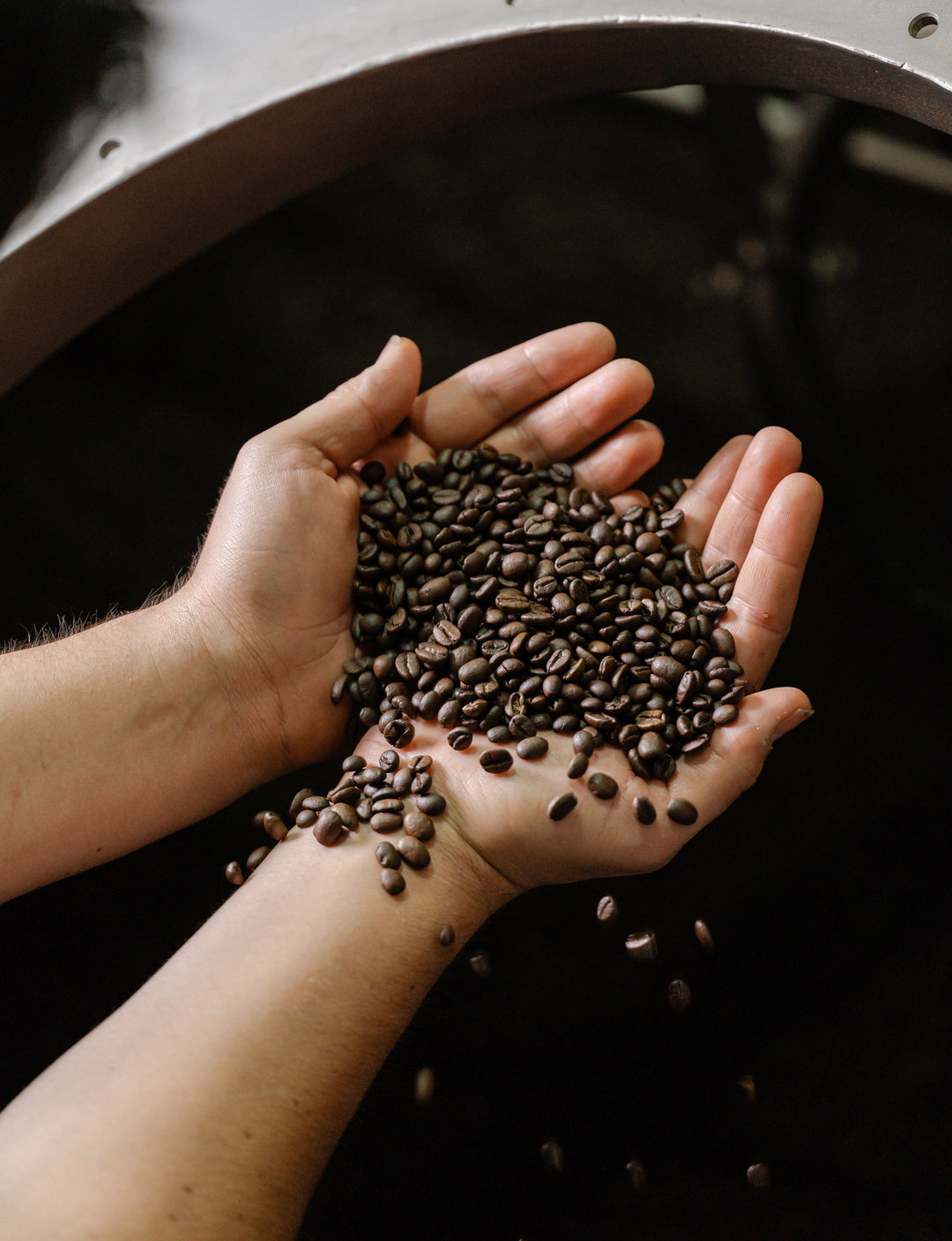 Di Stefano 109 Specialty Coffee Beans 250g