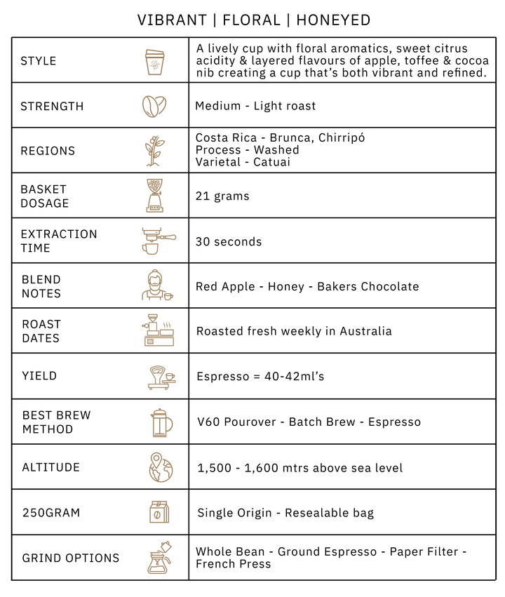 Di Stefano Costa Rica Chirripo Single Origin Coffee Beans 250g