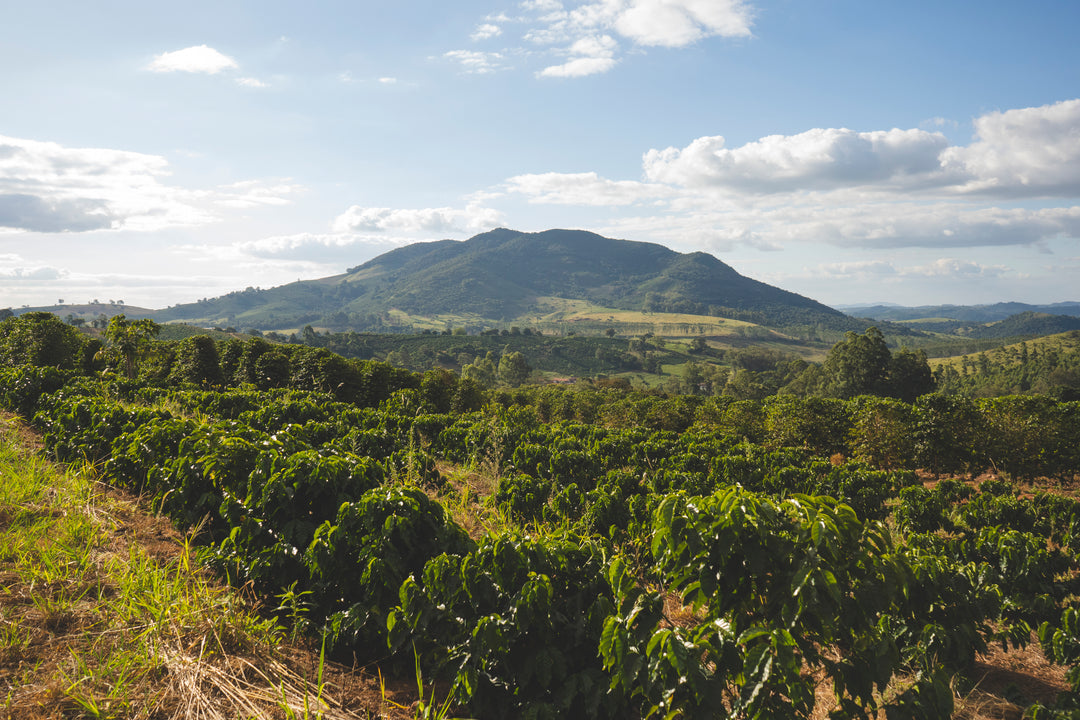 Landscape photo Samba hills in Brazil
